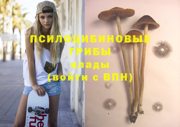 кокаин премиум Карпинск